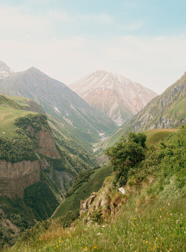 nature